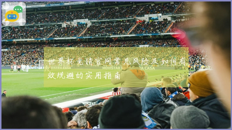 世界杯竞猜官网常见风险及如何有效规避的实用指南