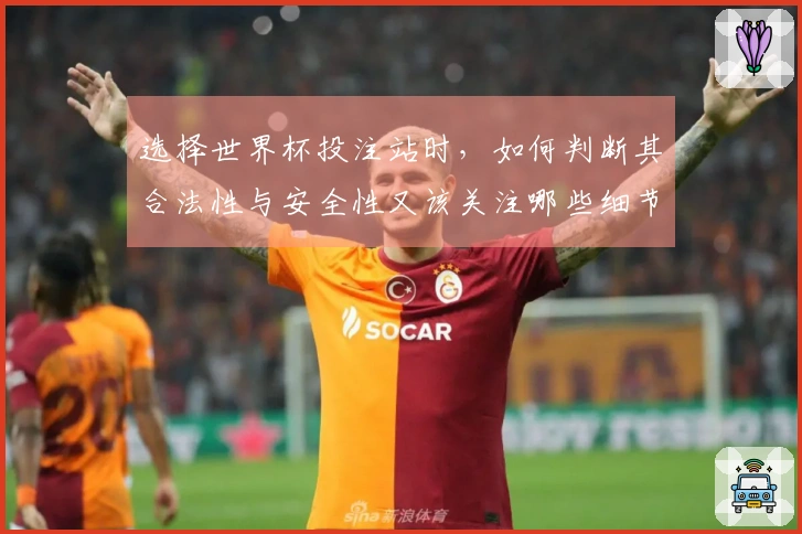 选择世界杯投注站时，如何判断其合法性与安全性又该关注哪些细节？