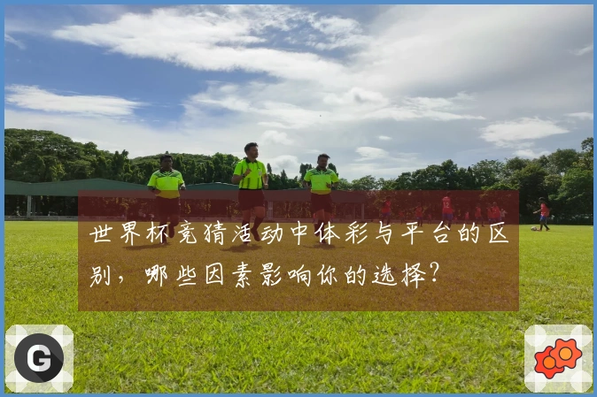 世界杯竞猜活动中体彩与平台的区别，哪些因素影响你的选择？