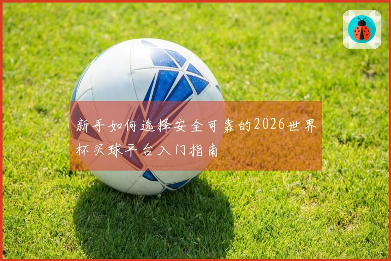 新手如何选择安全可靠的2026世界杯买球平台入门指南