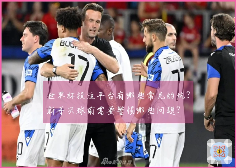 世界杯投注平台有哪些常见的坑？新手买球前需要警惕哪些问题？